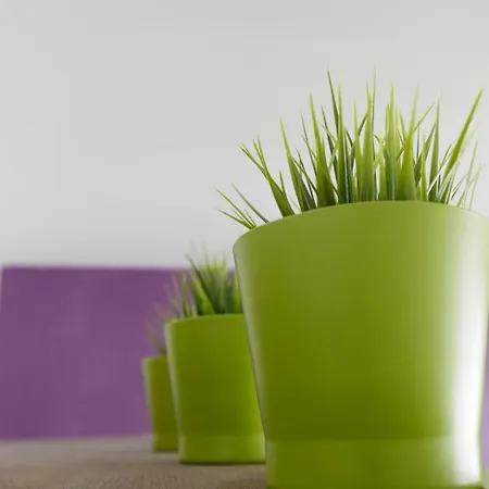 Aux Herbes Folles Apartman Herve