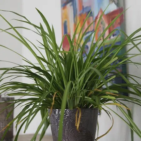 Aux Herbes Folles Herve