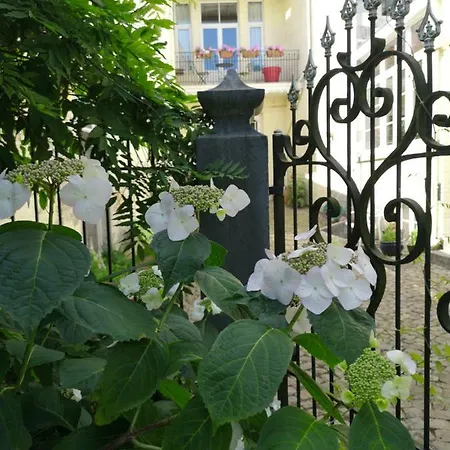 Aux Herbes Folles Herve