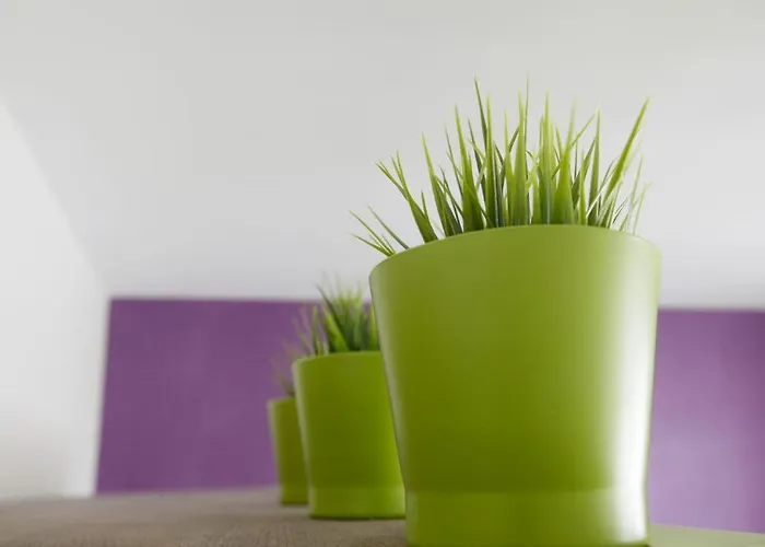 Aux Herbes Folles Διαμέρισμα Herve