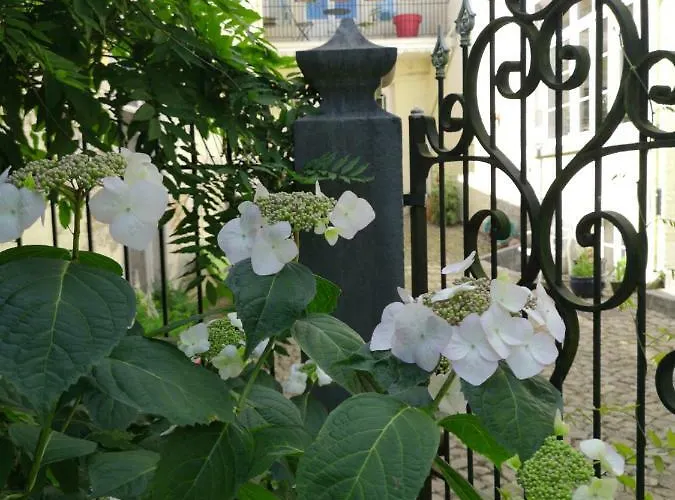 Aux Herbes Folles Herve